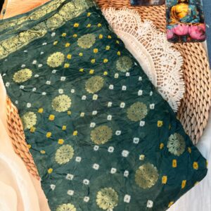 Sanjh Hara Saree